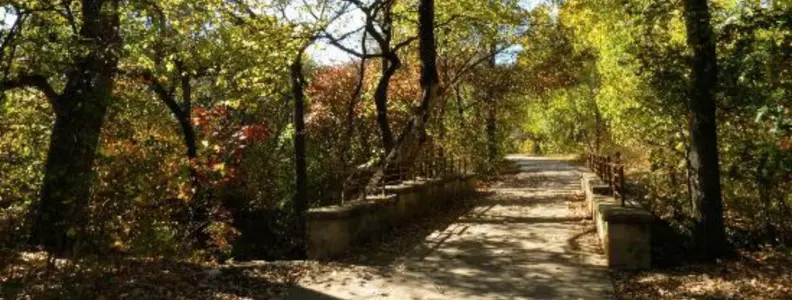 Summer Activities in Dallas during Coronavirus | Hike a Trail